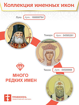 Икона Стилиан Пафлагонский 22х30 (1102)