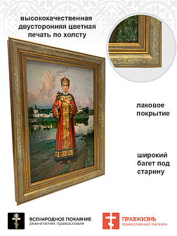 Картина на стену 015 царевич Алексей в костюме 17 века 25х34