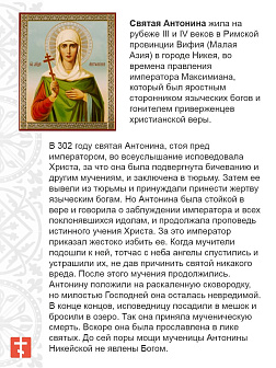 Икона Антонина Никейская 22х30 (030)