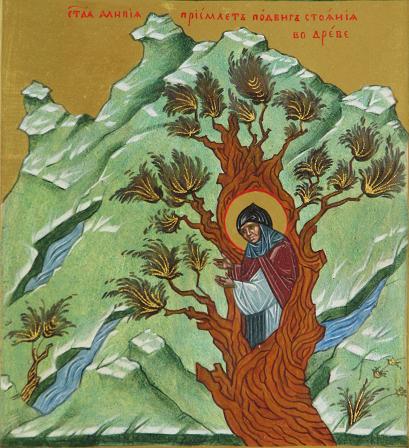18 мая – день перенесения мощей матушки Алипии в Голосеевский монастырь