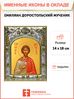 Икона Емилиан Доростольский мученик