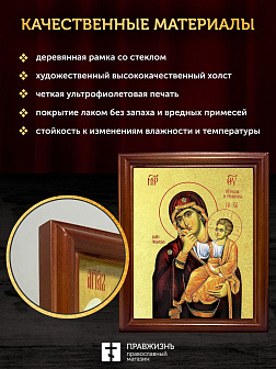 Икона Божией Матери Отрада и Утешение с золочением, деревянная рамка со стеклом 15х18х2 см 1124