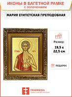 Икона "Мария Египетская", св. прп., с золочением поталью, 10М6-УЛ