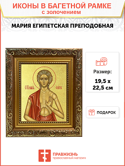 Икона "Мария Египетская", св. прп., с золочением поталью, 10М6-УЛ