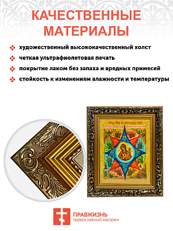 Икона Неопалимая Купина Божия Матерь на холсте в киоте 181