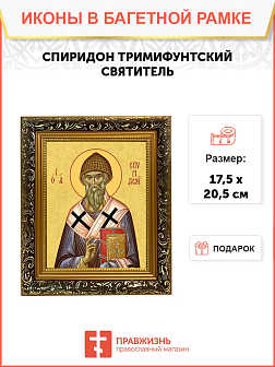 Образ святого Спиридона, епископа Тримифунтского, чудотворца, 09С6