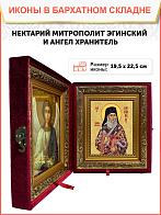 Образ святого Нектария (Кефаласа), митрополита Эгинского и Пентапольского, 09Н9