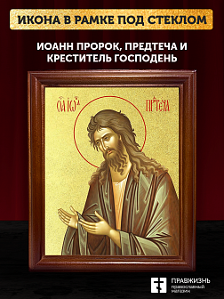 Икона Иоанн пророк Предтеча и Креститель Господень с золочением, деревянная рамка со стеклом 15х18х2