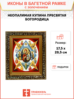 Икона Божией Матери "Неопалимая Купина" с золочением поталью, 03044-УЛ