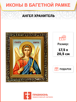 Образ Святого Ангела хранителя, 04006