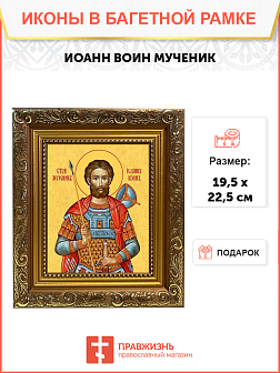 Образ святого Иоанна Воина, мученика, 09И13