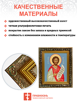 Образ святого Никиты Константинопольского хартулария, блаженного, 09Н3