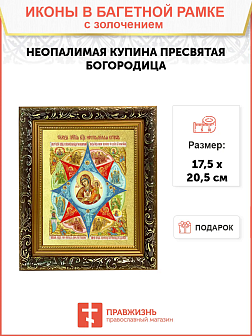 Икона Божией Матери "Неопалимая Купина" с золочением поталью, 03045-УЛ
