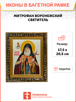 Образ святого Митрофана (в схиме Макария), епископа Воронежского, 09М1 Образ святого Митрофана (в схиме Макария), епископа Воронежского, 09М1