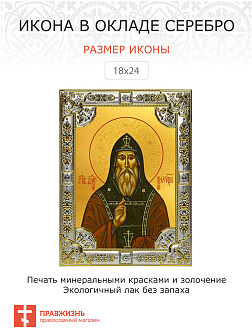 Икона Димитрий Прилуцкий