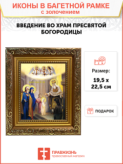 Икона "Введение во храм Пресвятой Богородицы" с золочением поталью, 05002-УЛ Икона "Введение во храм Пресвятой Богородицы" с золочением поталью, 05002-УЛ