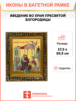 Образ "Введение во храм Пресвятой Богородицы", 05В1