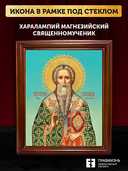 Икона Харалампий Магнезийский священномученик, деревянная рамка со стеклом 15х18х2 см 1090