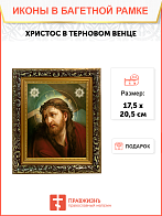 Образ Господа Иисуса Христа "Христос в терновом венце", 02016 Образ Господа Иисуса Христа "Христос в терновом венце", 02016