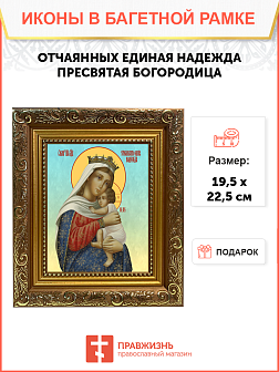 Образ Божией Матери "Отчаянных единая надежда", 03О1