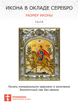 Икона ТРИФОН Апамейский Мученик