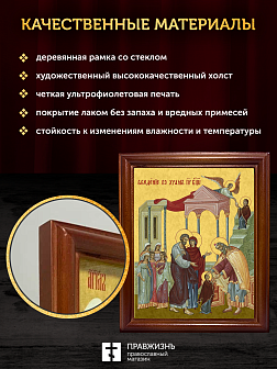 Икона Введение во храм Пресвятой Богородицы, деревянная рамка со стеклом 15х18х2 см 1204