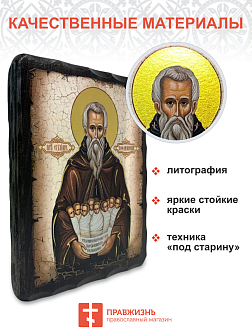 Икона Преподобный Стилиан Пафлагонский