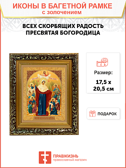 Икона Божией Матери "Всех Скорбящих Радость" с золочением поталью, 03008-УЛ