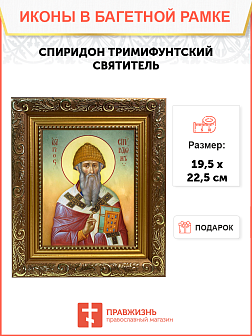 Образ святого Спиридона, епископа Тримифунтского, чудотворца, 09С15