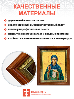 Образ святой Анастасии Римляныни, Солунской (Фессалоникийской), преподобномученицы, 10А12