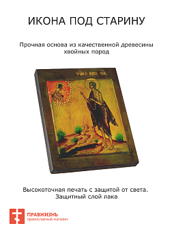 Икона Святая Мария Египетская