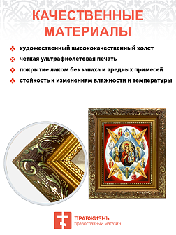 Икона Божией Матери "Неопалимая Купина" с золочением поталью, 03044-УЛ