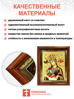 Икона Млекопитательница Божия Матерь