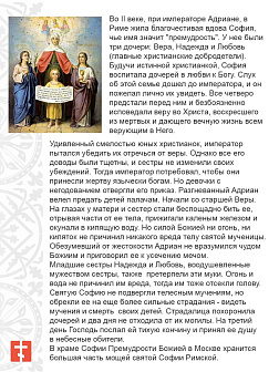 Икона Вера Надежда Любовь и София 17х30 (044)