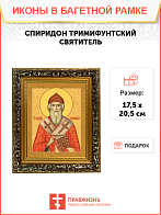 Образ святого Спиридона, епископа Тримифунтского, чудотворца, 09С3 Образ святого Спиридона, епископа Тримифунтского, чудотворца, 09С3