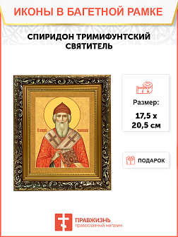 Образ святого Спиридона, епископа Тримифунтского, чудотворца, 09С3