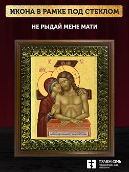 Икона Спаситель и Богородица Не рыдай Мене Мати, деревянная рамка с басмой и стеклом 18х21х2,5 см 12