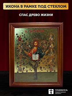 Икона Спас Древо Жизни с золочением, деревянная рамка со стеклом 15х18х2 см