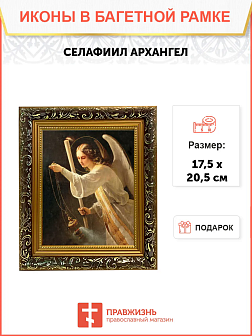 Образ Архангела Селафиила, 04018