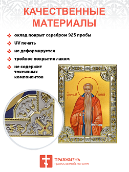 Икона Евфимий Великий преподобный