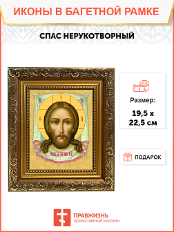 Образ Господа Иисуса Христа "Спас Нерукотворный", 02С2