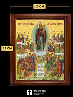 Икона Божией Матери Всех Скорбящих Радость, деревянная рамка со стеклом 15х18х2 см 153 Икона Божией Матери Всех Скорбящих Радость, деревянная рамка со стеклом 15х18х2 см 153