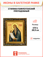 Образ святого Стилиана Пафлагонского, преподобного, 09С4 Образ святого Стилиана Пафлагонского, преподобного, 09С4