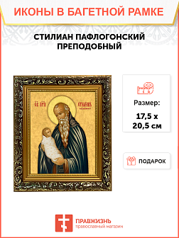 Образ святого Стилиана Пафлагонского, преподобного, 09С4 Образ святого Стилиана Пафлагонского, преподобного, 09С4