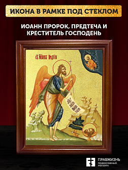 Икона Иоанн пророк Предтеча и Креститель Господень с золочением, деревянная рамка со стеклом 15х18х2