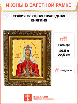 Образ святой Софии Слуцкой, праведной княгини, 10С2
