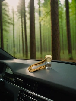 Освященные авто благовония "Ароматы Библии"