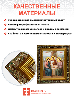 Образ "Пресвятой Троицы", 02Т2