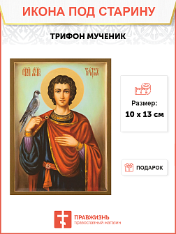 Икона под старину Святого Трифона