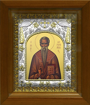 Икона ХАРАЛАМПИЙ (Харлампий) Магнезийский, Священномученик